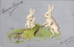 CPA Lapin Lapins 