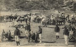 CPA Militaria Chasseurs Alpins Batterie alpine au bivouac Campement 