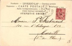 Vintage Postcard Fantasy Women Pig Pig