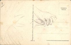 Vintage Postcard Fantasy Illustrator Shepherd Mauzan Sheep