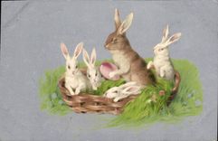 CPA Lapin Lapins 