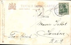 Vintage Postcard Lapin Rabbits Partridge Drives out