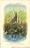 Vintage Postcard Rabbit Rabbits Fables of the Fountain the hare and the frogs Gustave Doré