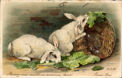 CPA Lapin Lapins 
