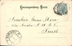 Vintage Postcard Rabbit Rabbits Child Flowers