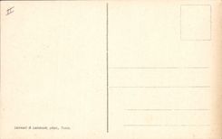 Vintage Postcard a gazelle