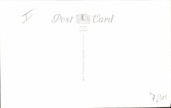 Modern Postcard Kudu Antelopes