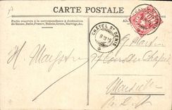 Vintage Postcard Fantasy Garden Illustrator & Garden official Chart of the Vine growers Vevey 1905