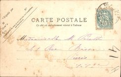 Vintage Postcard Fantasy Illustrator Woman Dog Poodle