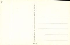 Vintage Postcard Fantasy Illustrator Marshals Angel Dog Dogs