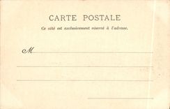 Vintage Postcard Circus Barnum and Bailey Vue has flight of bird of the ISCED of the tents