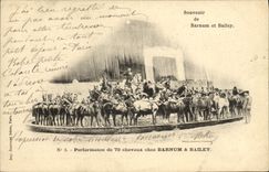 Vintage Postcard Barnum Circus and Bailey Performance of 70 horses