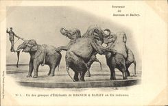 CPA Cirque Barnum et Bailey Un groupe d'elephants en file indienne Elephant 