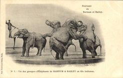 CPA Cirque Barnum et Bailey Un groupe d'elephants en file indienne Elephant 