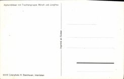 CPA Folklore Alphpornblaser mit Trachtengruppe