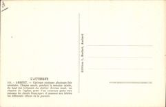 Vintage Postcard Folklore Auvergne Ambert