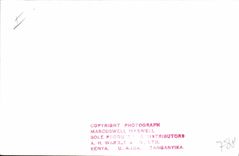 Vintage Postcard Kenya Uganda Tanganyka Zebres Streaks