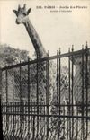 CPA Paris Jardin des Plantes Girafe d'Abyssinie 