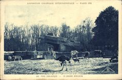 Vintage Postcard Paris international colonial Exposure 1931 Zoological gardens African savanna