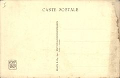 Vintage Postcard Paris international colonial Exposure 1931 Zoological gardens African savanna