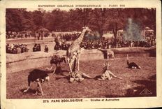 CPA Paris Exposition coloniale internationale 1931 Parc zoologique Girafes et autruches 