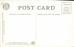 Vintage Postcard Eland New York Zoological Park