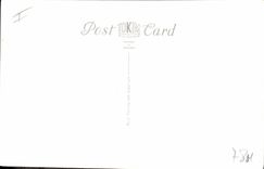 Vintage Postcard Wildebeeste & Streaked