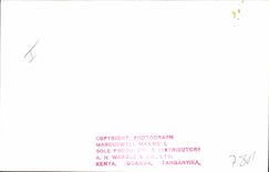 Vintage Postcard Kenya Uganda Tanganyka Antelope