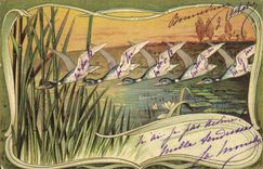 Vintage Postcard Fantasy Illustrator Duck Ducks