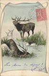 Vintage Postcard Fantaisie Illustrator Stag Drives out Hinds