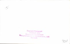 Vintage Postcard Kenya