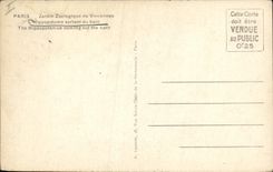 Vintage Postcard Paris Zoo Vincennes the outgoing Hippopotamus of the bath