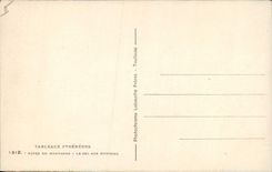 Vintage Postcard the Pyrenees Sheep Shepherd in mountain salt with the sheep