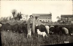 CPA Le berger du village Moutons 