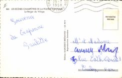 Vintage Postcard the shepherd of the village Sheep