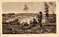 CPA Moutons Enfant 