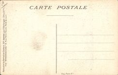 CPA Militaria Paris Fetes de la Victoire 