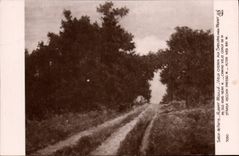 Vintage Postcard Living room of Paris Albert Moulle Old way with Fine sands close Moret