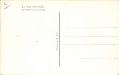 Postal Perros amaestrados el salto de los aros Perro
