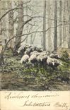 CPA Moutons 