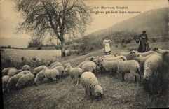CPA Morvan Bergeres gardant leurs moutons 