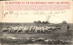 CPA 99 moutons et un Champenois font 100 betes 