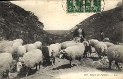 CPA Berger des Pyrenees 