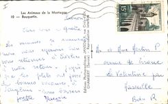 CPM Bouquetin 