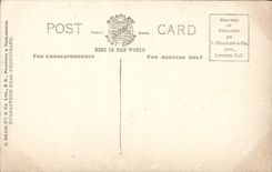 Vintage Postcard Militaria Marshall Foch