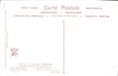 CPA Erotique Antonio Parreiras Fleur bresilienne 