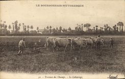 CPA Folklore Bourbonnais Travaux des champs Le labourage Boeufs