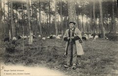 Vintage Postcard Folklore Shepherd from the Landes knitting Sheep