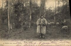 CPA Folklore Berger landais Moutons