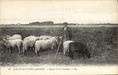 CPA Folklore Berger et son troupeau Moutons 